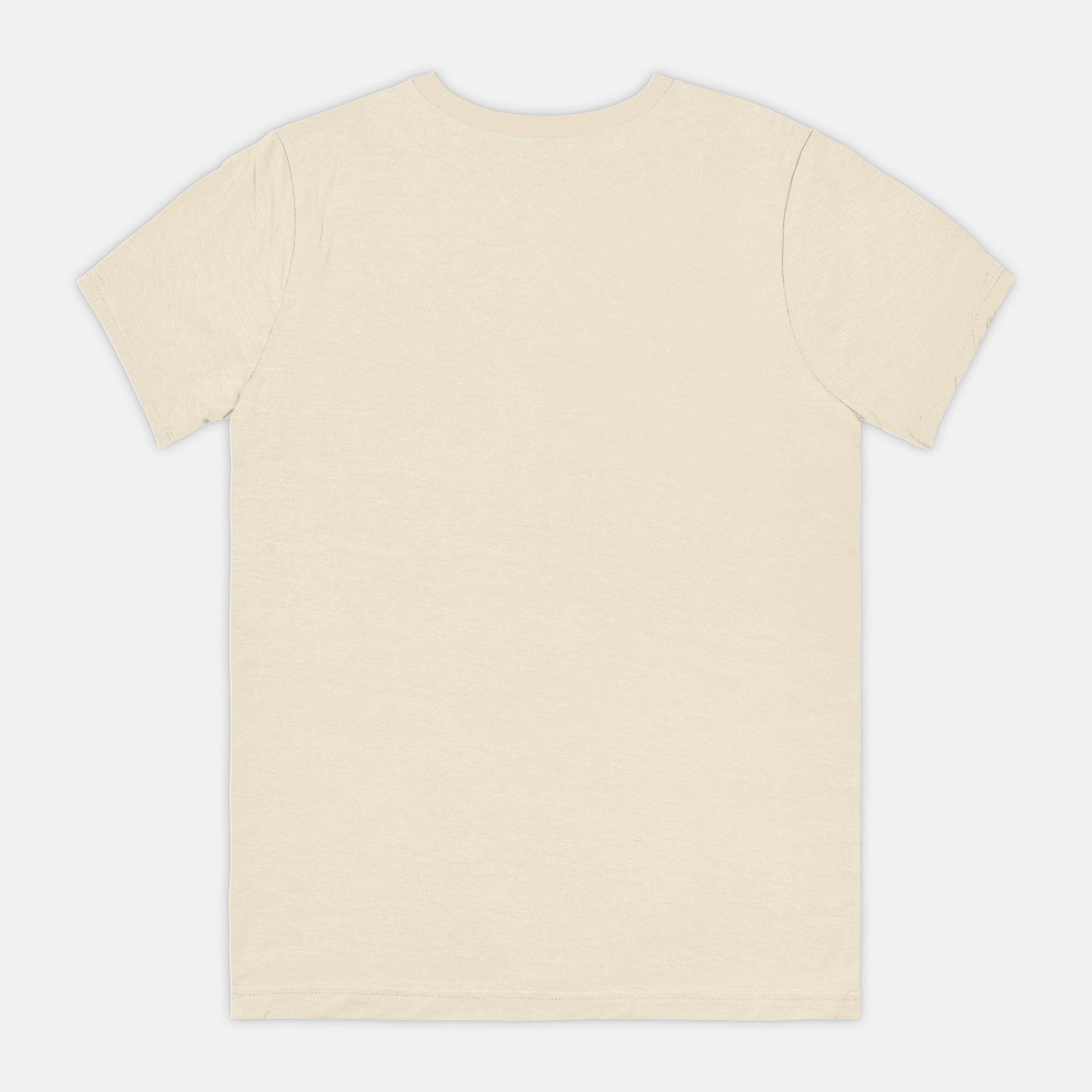 Can't Pinch This Bella Canvas Unisex Tee 3001CVC